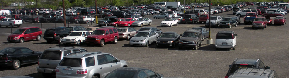 Auto Auction Lot